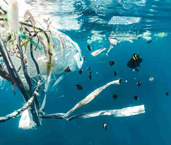 Combattere l’inquinamento da microplastiche