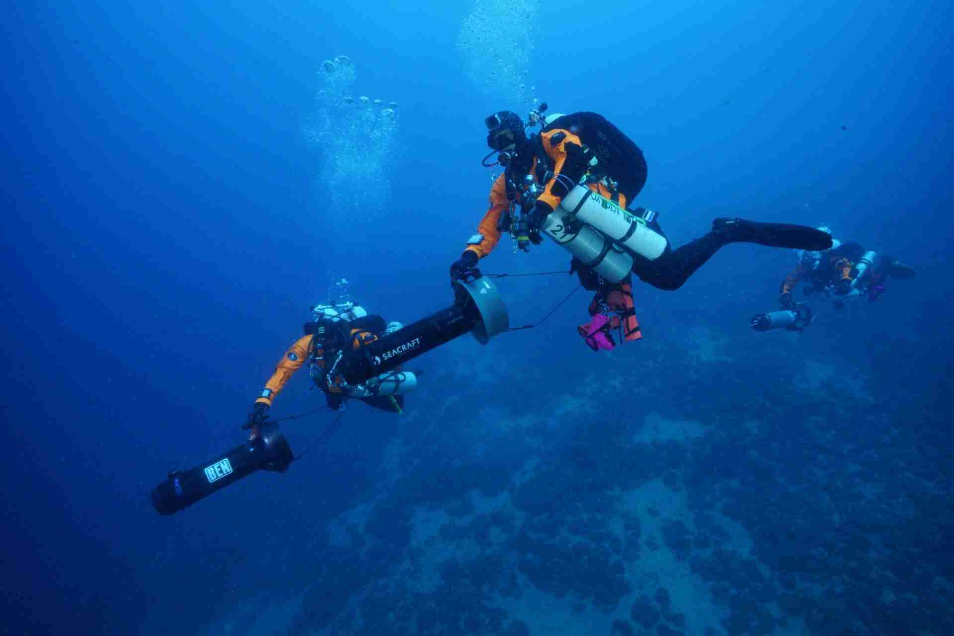 Co-fondatore della Healthy Seas Foundation
