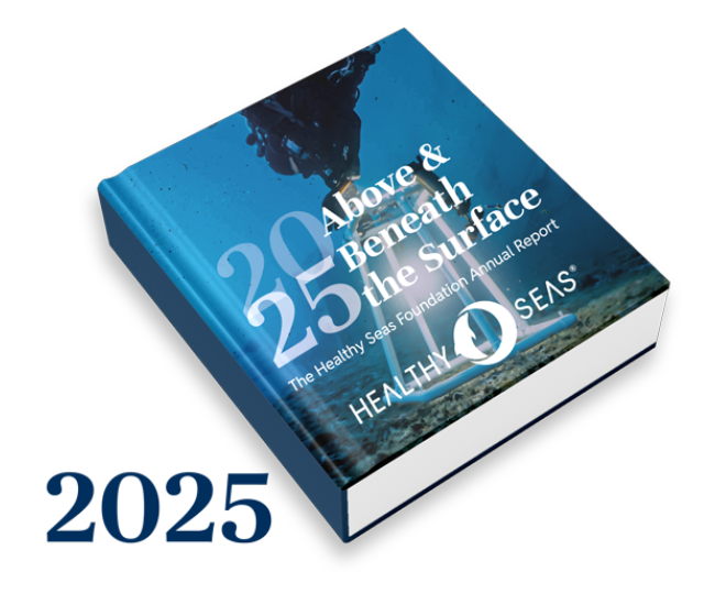 Healthy Seas Annual Report 2025: Key Highlights