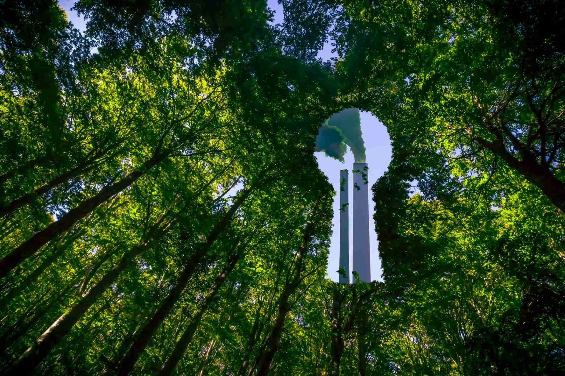 How Businesses Can Make a Real Impact on the Circular Economy