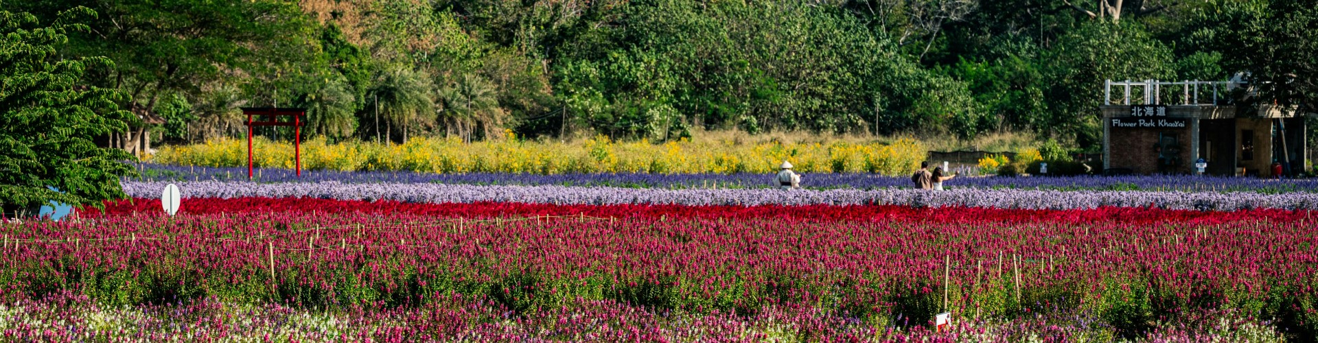 La Connessione tra Biodiversità e Produzione