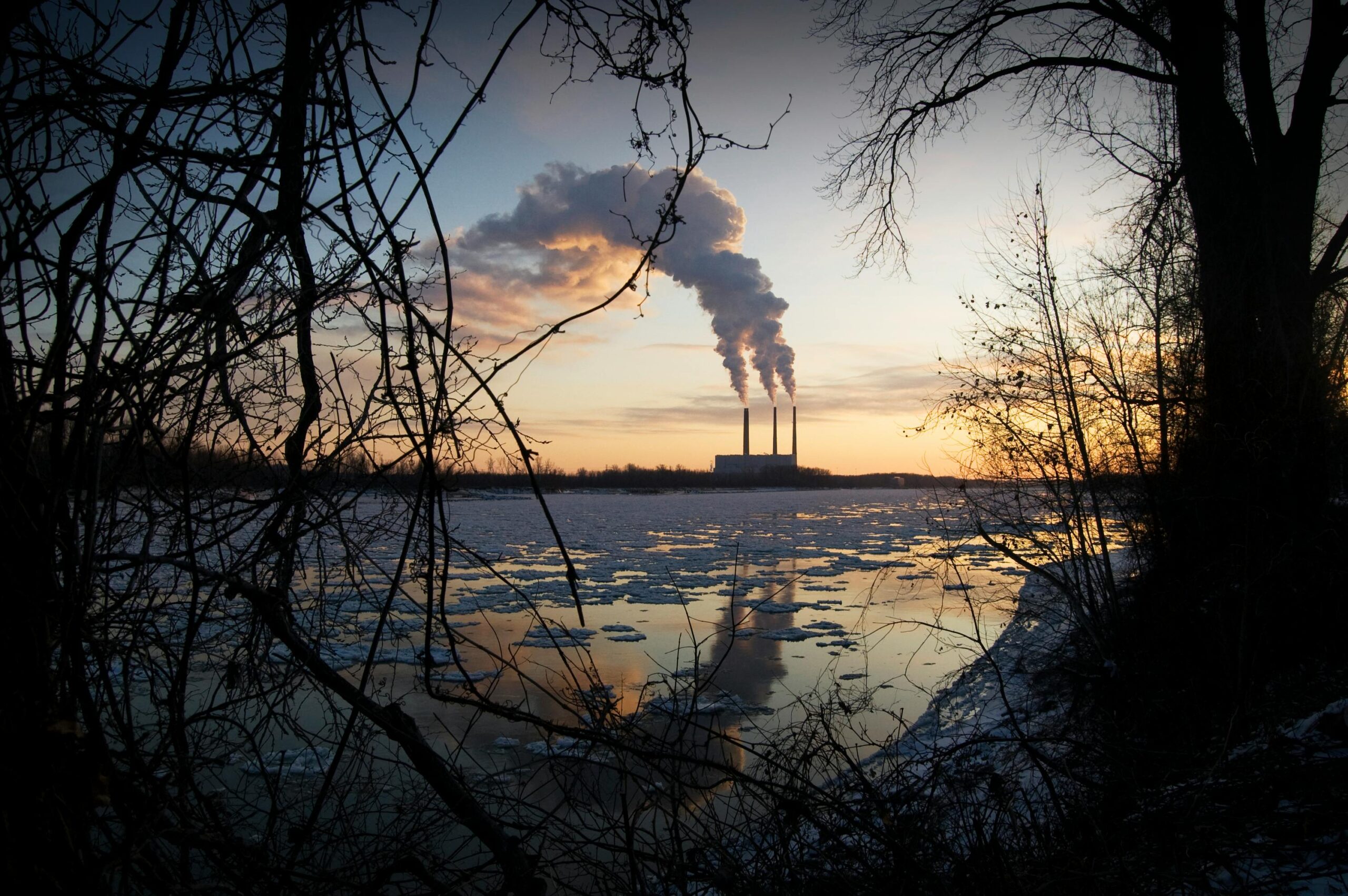 Analisi delle compensazioni di carbonio e del vero percorso verso la sostenibilità