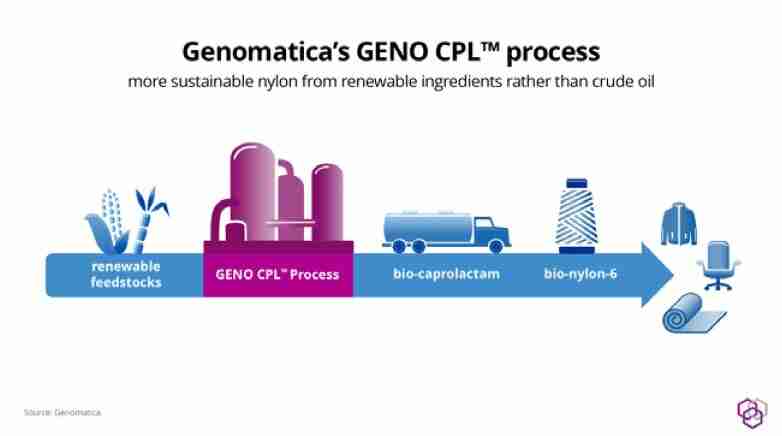 genomatica schema grafico