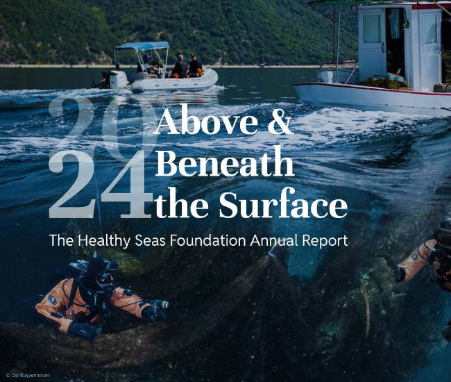 Healthy Seas: Risultati Chiave del 2024