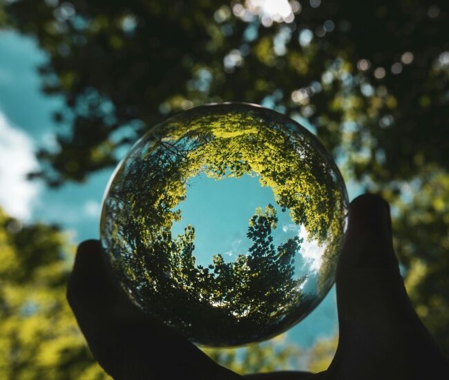 Innovation is the Real Engine of Sustainability