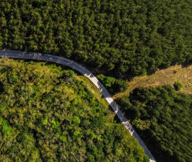 Practical Steps Companies Can Take Toward Responsible Business Today